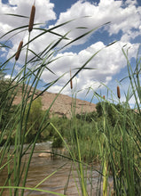 Load image into Gallery viewer, Set of Five Verde River 5 x 7 Note Cards to Benefit Friends of the Verde River