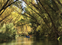 Load image into Gallery viewer, Set of Five Verde River 5 x 7 Note Cards to Benefit Friends of the Verde River